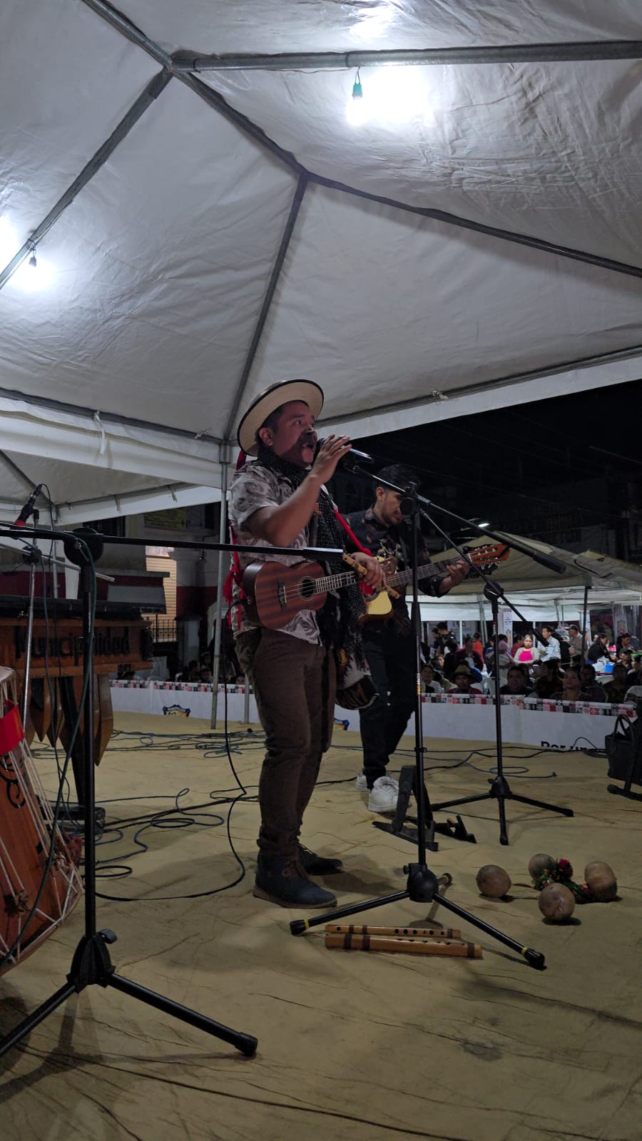 Día del Agua — banda en escena